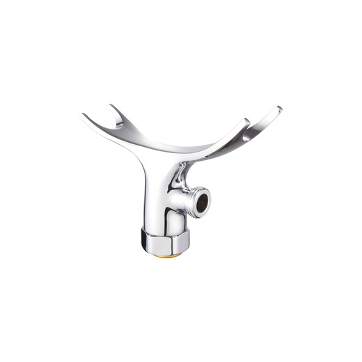 Shower holder